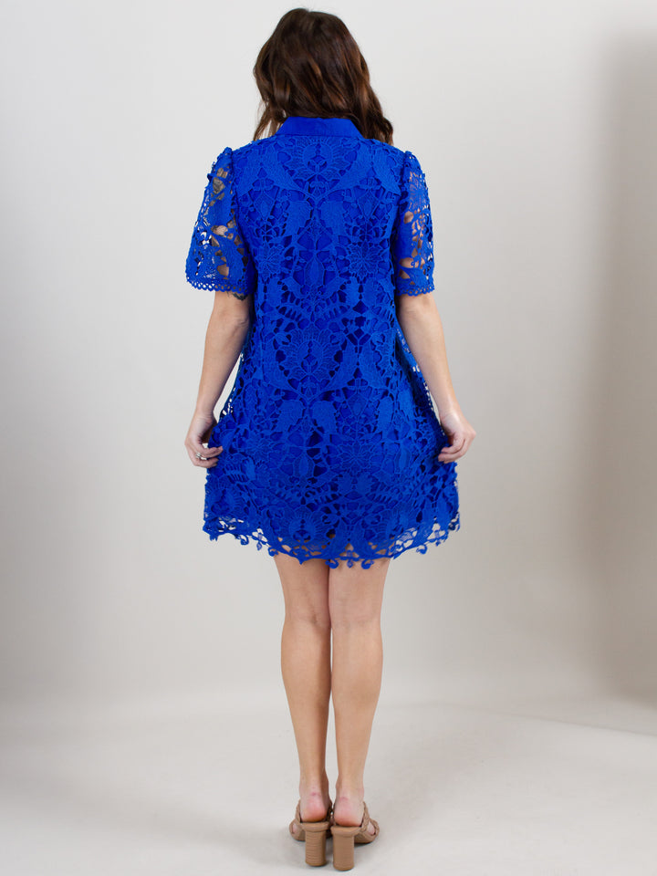 Lace & Light Dress